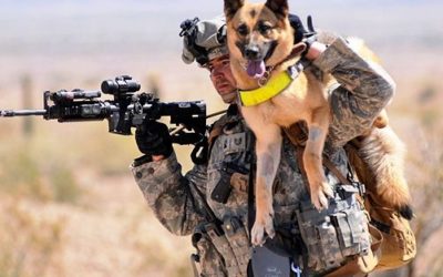 THE AMAZING HISTORY OF MILITARY SERVICE DOGS