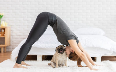 Celebrate National Pet Month By Getting in Shape with Your Pet