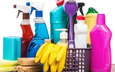 Four Common Cleaning Chemicals That Are Toxic to Pets