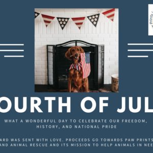 4th of July - Celebrate Freedom and National Pride
