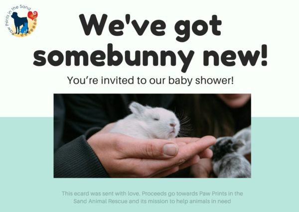 Somebunny New - Baby Shower Invitation