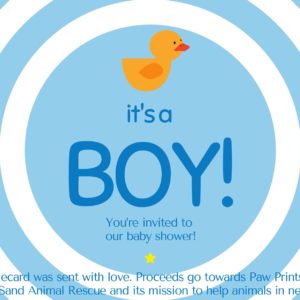 It's a Boy! Baby Shower Invitation