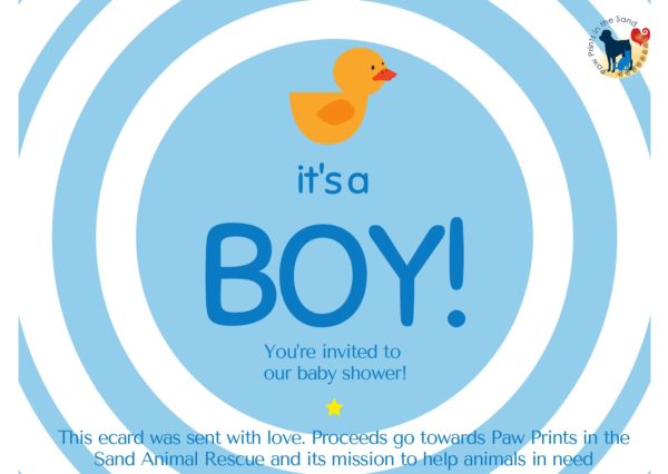 It's a Boy! Baby Shower Invitation