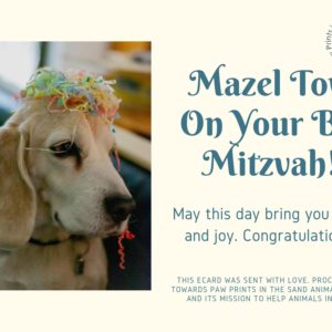 Mazel Tov on Your Bar Mitzvah