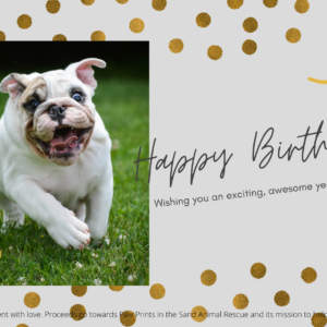 Happy Birthday - Bulldog