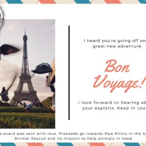 Bon Voyage - Great New Adventure