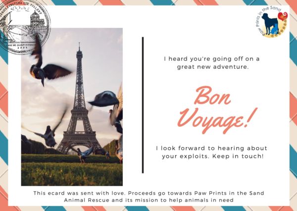 Bon Voyage - Great New Adventure