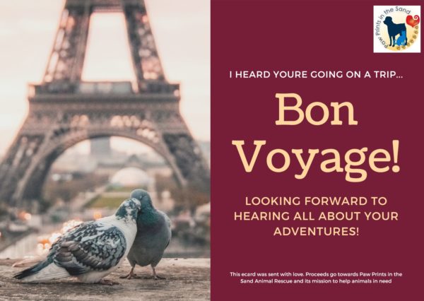 Bon Voyage - Trip