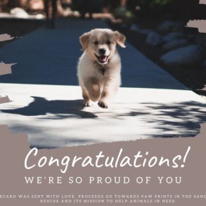 Congratulations - Puppy