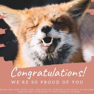 Congratulations - Fox