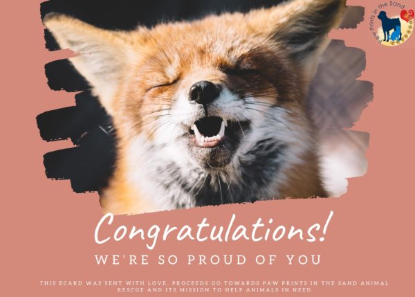 Congratulations - Fox