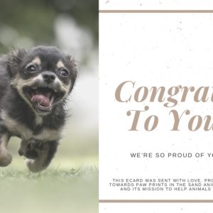 Congrats to You!