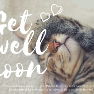 Get Well Soon - Kitten