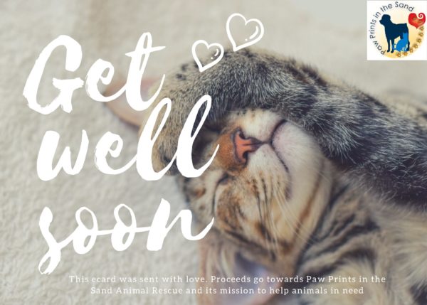 Get Well Soon - Kitten