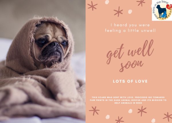 Get Well Soon - Lots of Love