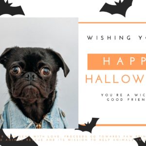Happy Halloween - Wicked Good Friend