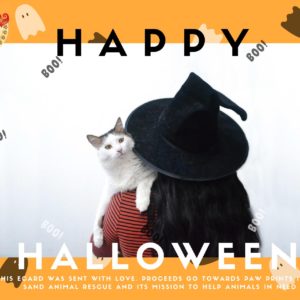 Happy Halloween - Cat