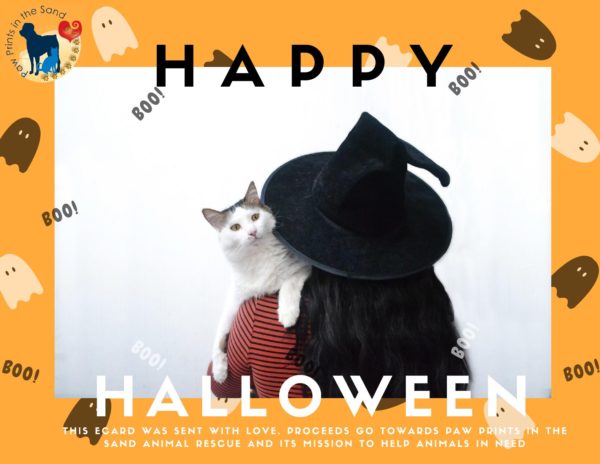Happy Halloween - Cat