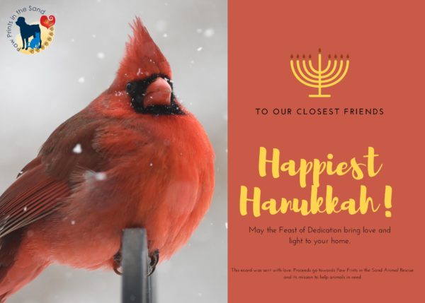 Happiest Hanukkah - Cardinal