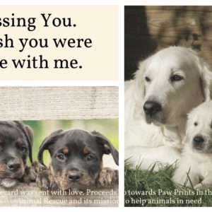 Missing You - Puppies