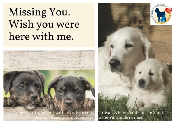Missing You - Puppies