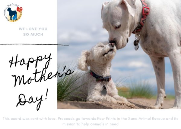 Happy Mother's Day - Dogs
