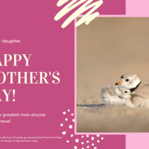 Happy Mother's Day - from Daughter