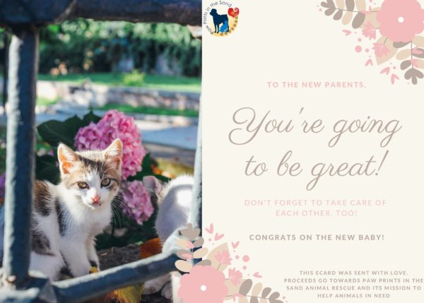 You're Going to Be Great!