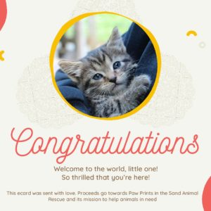 Congratulations on New Baby - Kitten
