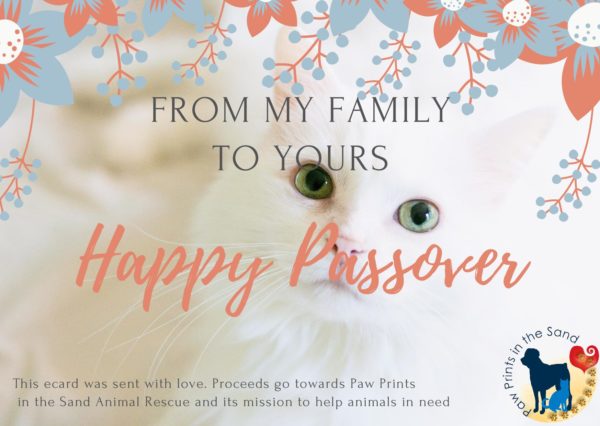 Happy Passover - from our Family to Yours