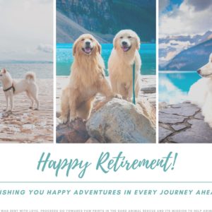 Happy Retirement - Adventures