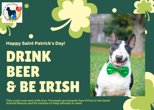 Drink Beer and Be Irish
