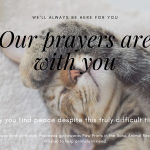 Our Prayers are With You