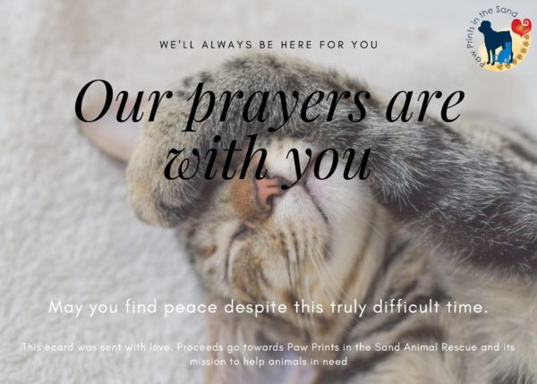 Our Prayers are With You