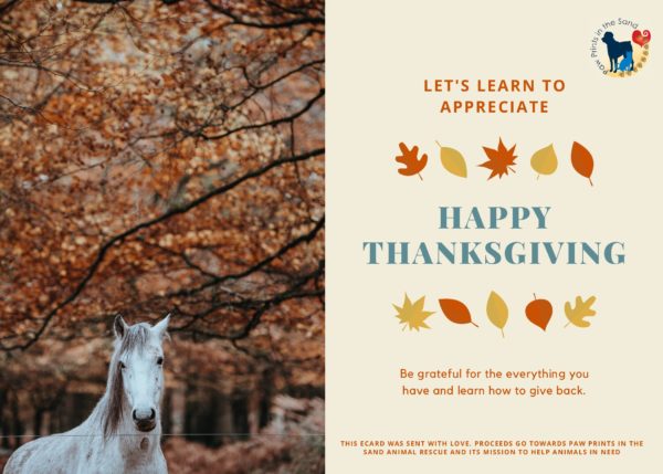 Happy Thanksgiving - Horse