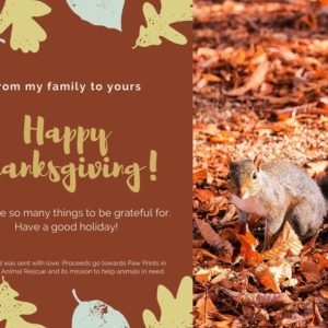 Happy Thanksgiving - Squirrel