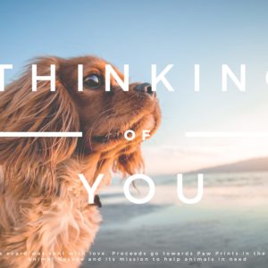 Thinking of You - Puppy