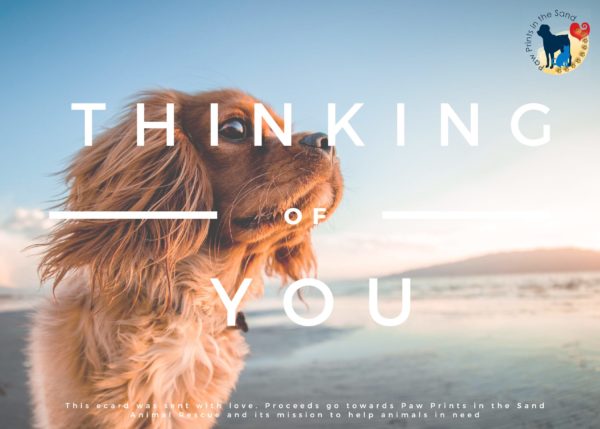 Thinking of You - Puppy