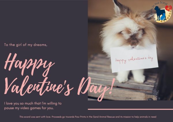 Happy Valentine's Day Girl of My Dreams