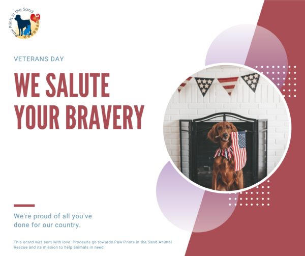 We Salute Your Bravery