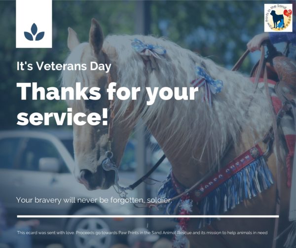 Thanks for Your Service - Veterans Day