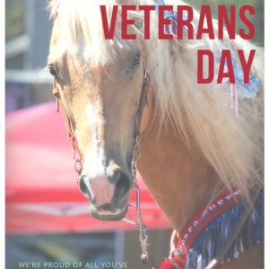 Happy Veteran's Day - We're Proud