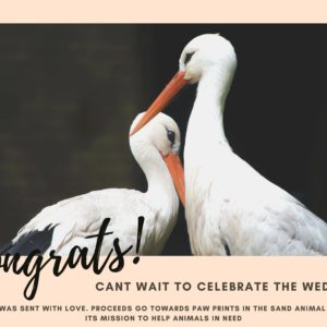 Congrats - Celebrate Wedding