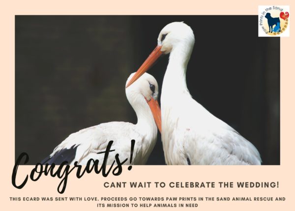Congrats - Celebrate Wedding